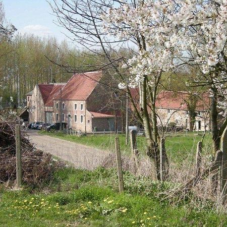 De Verborgen Parel B&B 博尔赫洛恩 外观 照片