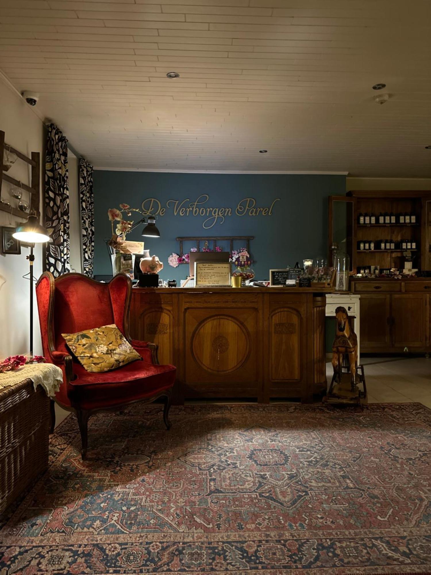 De Verborgen Parel B&B 博尔赫洛恩 外观 照片