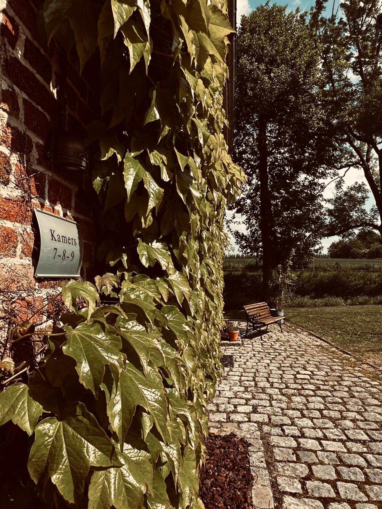 De Verborgen Parel B&B 博尔赫洛恩 外观 照片