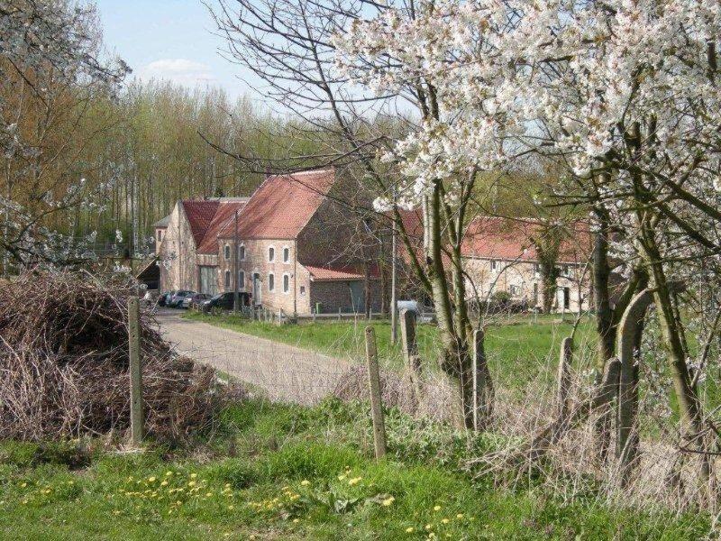 De Verborgen Parel B&B 博尔赫洛恩 外观 照片